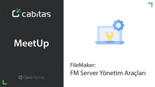 FileMaker: Server Yönetim Araçları