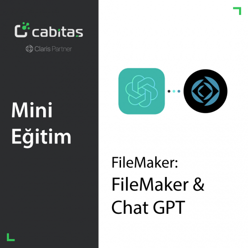 FM Eğitim | FileMaker ve ChatGPT