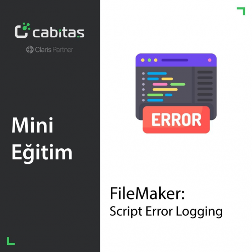 Mini FileMaker Eğitim | Script Error Logging