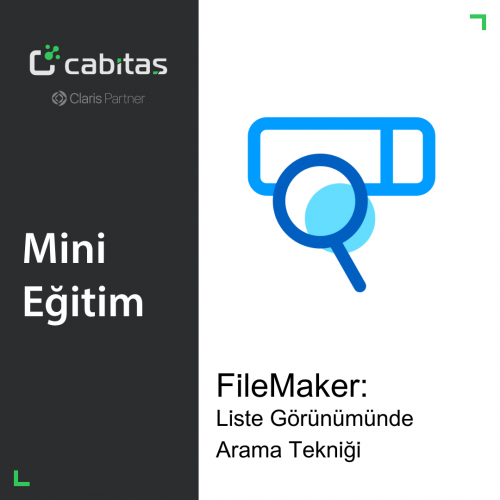 Mini FileMaker Eğitim | Liste Görünümünde Arama Tekniği