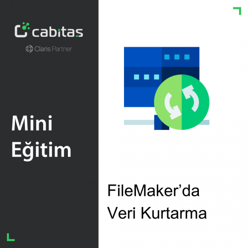 Mini FileMaker Eğitim | FileMaker'da Veri Kurtarma