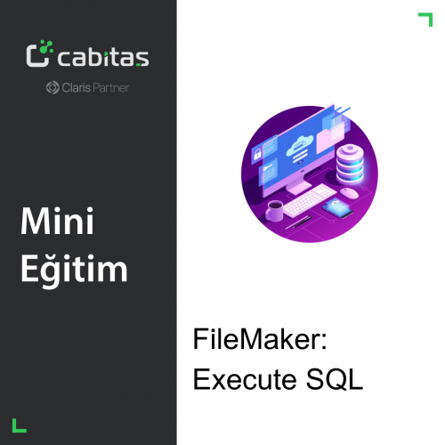 Mini FileMaker Eğitim | Execute SQL