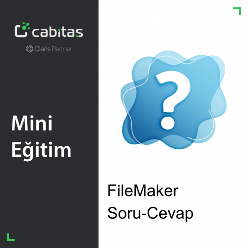 Mini FileMaker Eğitim | Soru - Cevap Etkinliği